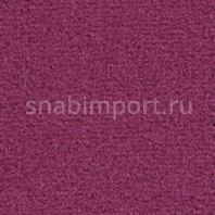 Ковровое покрытие Balsan Les Greens Confort 868 POURPRE Фиолетовый — купить в Москве в интернет-магазине Snabimport