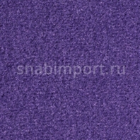 Ковровое покрытие Balsan Les Greens Confort 885 PRUNE Фиолетовый — купить в Москве в интернет-магазине Snabimport