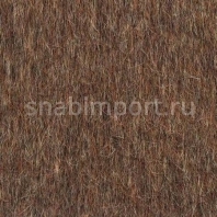 Иглопробивной ковролин Desso Lita 2042 коричневый — купить в Москве в интернет-магазине Snabimport