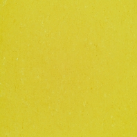 Натуральный линолеум Gerflor DLW Colorette LPX-131-001 желтый — купить в Москве в интернет-магазине Snabimport