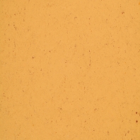 Натуральный линолеум Gerflor DLW Colorette LPX-131-073 оранжевый — купить в Москве в интернет-магазине Snabimport