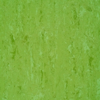 Натуральный линолеум Gerflor DLW Linodur LPX-151-011 зеленый — купить в Москве в интернет-магазине Snabimport