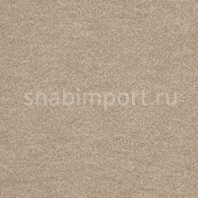 Ковровое покрытие Lano Rumba 239 коричневый — купить в Москве в интернет-магазине Snabimport