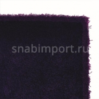 Ковер Ted Baker Luxe Nude 58715 Фиолетовый — купить в Москве в интернет-магазине Snabimport