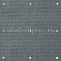 Ковровое покрытие Carpet Concept Lyn 15 steel Серый