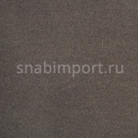 Ковровое покрытие Lano Zen 280 коричневый — купить в Москве в интернет-магазине Snabimport