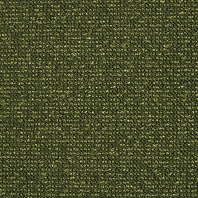 Ковровое покрытие Lano Maccan-590-Moss зеленый — купить в Москве в интернет-магазине Snabimport