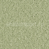 Ковровое покрытие Balsan Majestic 215 FIGURANT зеленый — купить в Москве в интернет-магазине Snabimport