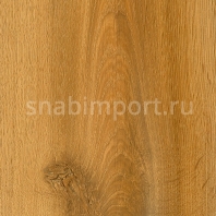 Виниловый ламинат Moduleo Transform Wood Click Classic Oak 24815 — купить в Москве в интернет-магазине Snabimport