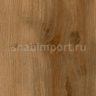 Виниловый ламинат Moduleo Select Wood Classic Oak MD24864 — купить в Москве в интернет-магазине Snabimport