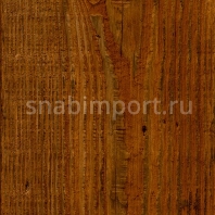 Виниловый ламинат Moduleo Transform Wood Click Latin Pine 24874 — купить в Москве в интернет-магазине Snabimport