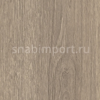 Виниловый ламинат Moduleo Transform Wood Click Verdon Oak 24936 — купить в Москве в интернет-магазине Snabimport