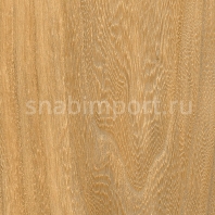 Виниловый ламинат Moduleo Transform Wood Click Baltic Maple 28230 — купить в Москве в интернет-магазине Snabimport
