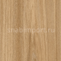 Виниловый ламинат Moduleo Transform Wood Click Ontario Elm 28266 — купить в Москве в интернет-магазине Snabimport