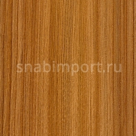 Виниловый ламинат Moduleo Transform Wood Click Ontario Elm 28430 — купить в Москве в интернет-магазине Snabimport