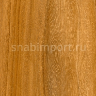 Виниловый ламинат Moduleo Transform Wood Click Baltic Maple 28820 — купить в Москве в интернет-магазине Snabimport
