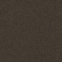 Ковровая плитка Modulyss Millennium Nxtgen 883 коричневый — купить в Москве в интернет-магазине Snabimport
