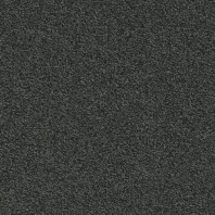 Ковровая плитка Modulyss Millennium Nxtgen 918 чёрный — купить в Москве в интернет-магазине Snabimport