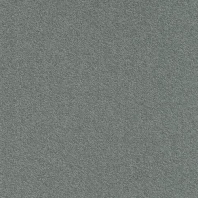 Ковровая плитка Modulyss Millennium Nxtgen 957 Серый — купить в Москве в интернет-магазине Snabimport