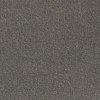 Ковровое покрытие Lano Minerva-830-Ash Серый — купить в Москве в интернет-магазине Snabimport