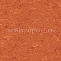 Коммерческий линолеум Gerflor Mipolam Accord 0315 — купить в Москве в интернет-магазине Snabimport