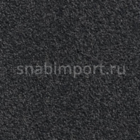 Контрактный ковролин Condor Сarpets Miracle 177 Серый — купить в Москве в интернет-магазине Snabimport