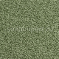 Контрактный ковролин Condor Сarpets Miracle 245 зеленый — купить в Москве в интернет-магазине Snabimport