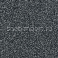 Контрактный ковролин Condor Сarpets Miracle 77 Серый