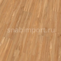Виниловый ламинат Wineo AMBRA WOOD MULTI-LAYER Natural Apple MLAP61416AMW-N коричневый — купить в Москве в интернет-магазине Snabimport