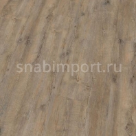 Виниловый ламинат Wineo AMBRA WOOD MULTI-LAYER Arizona Oak Grey MLEI25114AMW-N коричневый — купить в Москве в интернет-магазине Snabimport