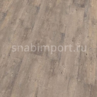 Виниловый ламинат Wineo AMBRA WOOD MULTI-LAYER Bosten Pine Grey MLPI71713AMW-N коричневый — купить в Москве в интернет-магазине Snabimport