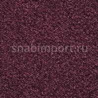 Ковровая плитка Modulyss Step Xtra step 50F Фиолетовый — купить в Москве в интернет-магазине Snabimport