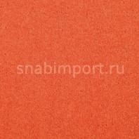 Ковровая плитка Modulyss Xtra Cambridge 25 F оранжевый — купить в Москве в интернет-магазине Snabimport
