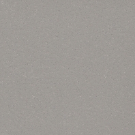 Коммерческий линолеум Polyflor Polysafe Verona PUR Pure Colours Monsoon-5226 Серый — купить в Москве в интернет-магазине Snabimport