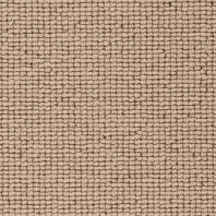 Ковровое покрытие Bestwool Pure Morzine-188 Бежевый — купить в Москве в интернет-магазине Snabimport