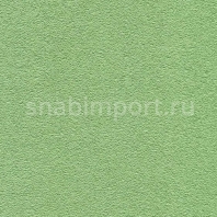 Виниловые обои Muraspec Colour Index MPC5525 зеленый — купить в Москве в интернет-магазине Snabimport