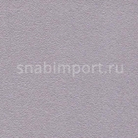 Виниловые обои Muraspec Colour Index MPC6165 фиолетовый — купить в Москве в интернет-магазине Snabimport