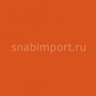 Бетонные покрытия Bautech Pressbeton ЦВЕТА PRESSBETON Красная черепица MT101 оранжевый — купить в Москве в интернет-магазине Snabimport