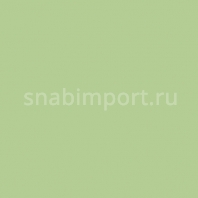 Бетонные покрытия Bautech Pressbeton ЦВЕТА PRESSBETON Зеленая трава MT102 зеленый — купить в Москве в интернет-магазине Snabimport