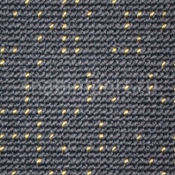 Ковровое покрытие Carpet Concept Next Gen 2 53558 Серый — купить в Москве в интернет-магазине Snabimport