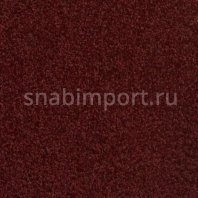 Контрактный ковролин Condor Сarpets Ocean 289 Красный — купить в Москве в интернет-магазине Snabimport