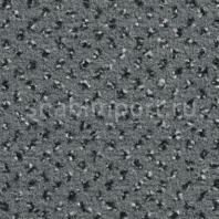 Ковровое покрытие Condor Carpets Onyx 76 Серый — купить в Москве в интернет-магазине Snabimport