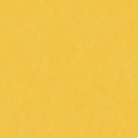 Коммерческий линолеум Altro Orchestra CH2801 желтый