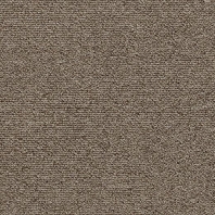 Ковровая плитка Forbo Tessera Layout &amp; Outline-2107 коричневый — купить в Москве в интернет-магазине Snabimport