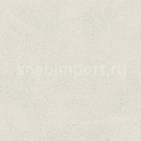 Виниловые обои Muraspec Astoria Rome P9803 бежевый — купить в Москве в интернет-магазине Snabimport