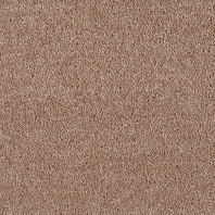 Ковровое покрытие Lano Panache Deluxe 220 ACORN коричневый — купить в Москве в интернет-магазине Snabimport
