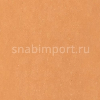 Виниловый ламинат Wineo Purline Levante Terracotta Light PB00008LE коричневый — купить в Москве в интернет-магазине Snabimport