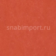 Виниловый ламинат Wineo Purline Levante Red Berry PB00010LE красный — купить в Москве в интернет-магазине Snabimport