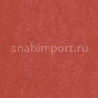 Виниловый ламинат Wineo Purline Levante Red Rubin PB00011LE коричневый — купить в Москве в интернет-магазине Snabimport