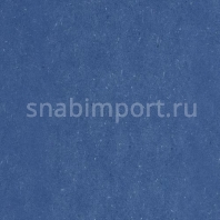 Виниловый ламинат Wineo Purline Levante Navy Blue PB00016LE синий — купить в Москве в интернет-магазине Snabimport